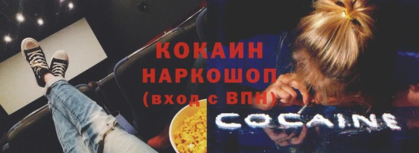 ПСИЛОЦИБИНОВЫЕ ГРИБЫ Кукмор