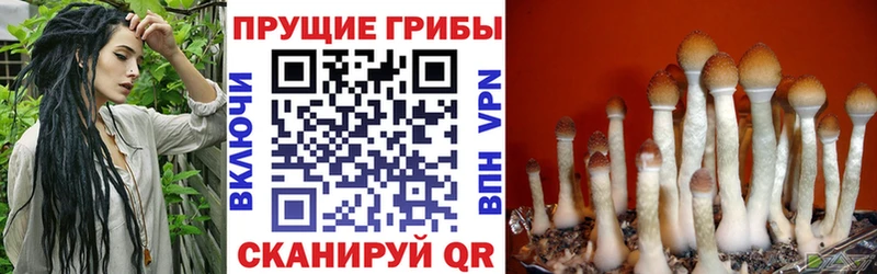 Галлюциногенные грибы мухоморы  Лиски 