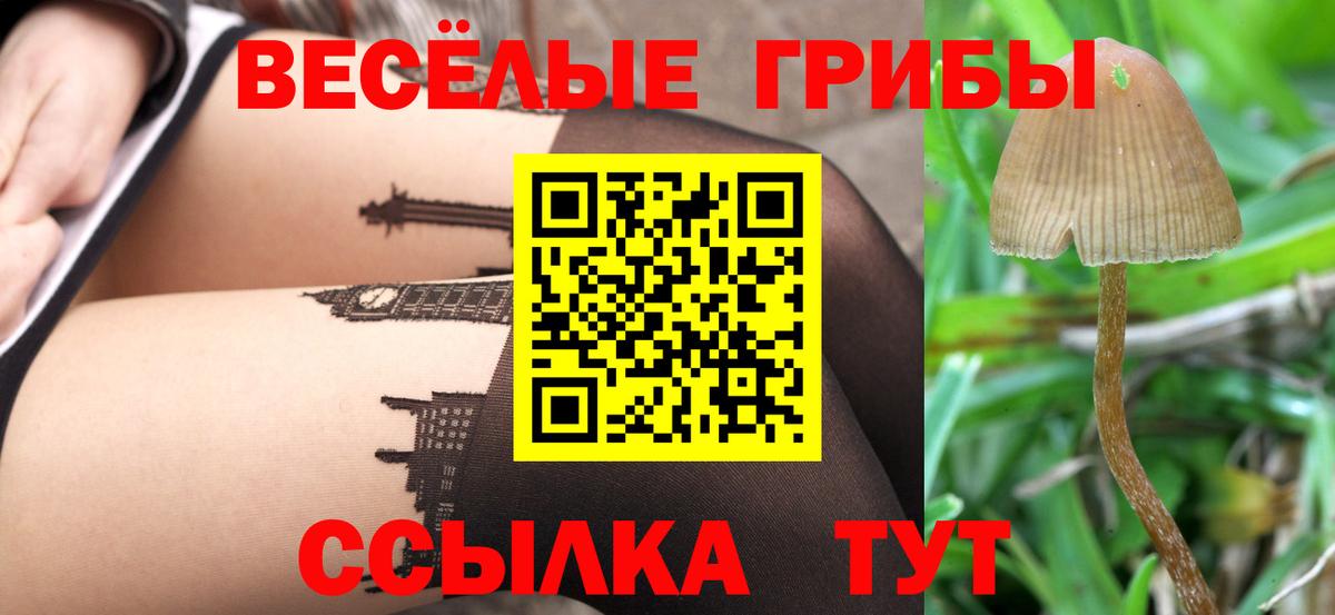Галлюциногенные грибы Лиски