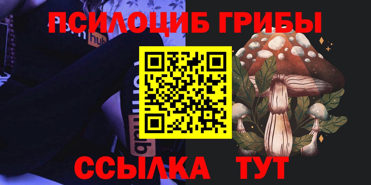 Галлюциногенные грибы Psilocybe  Вход с VPN  Лиски 